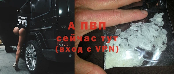 гидра Лагань