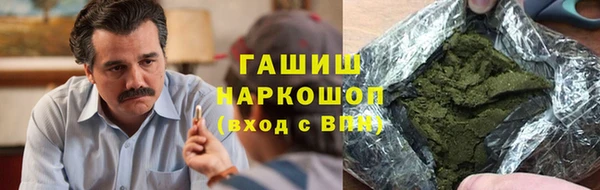 гашик Ладушкин
