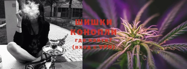 гидра Лагань