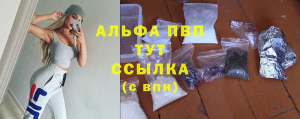 гидра Лагань