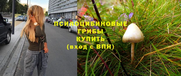 гидра Лагань