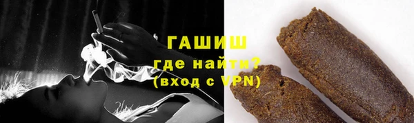 гашик Ладушкин