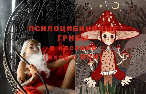 гашик Ладушкин