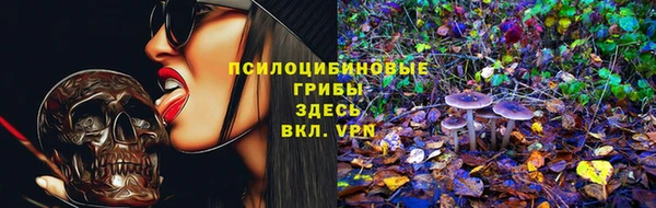сатива Кукмор
