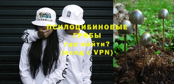 гидра Лагань
