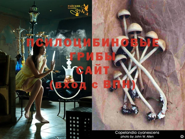 гидра Лагань