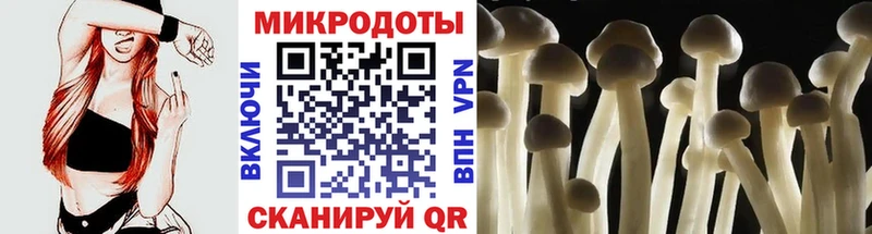 Галлюциногенные грибы GOLDEN TEACHER Беломорск